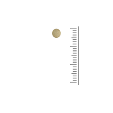 Foliumzuur (vitamine B11) 400mcg