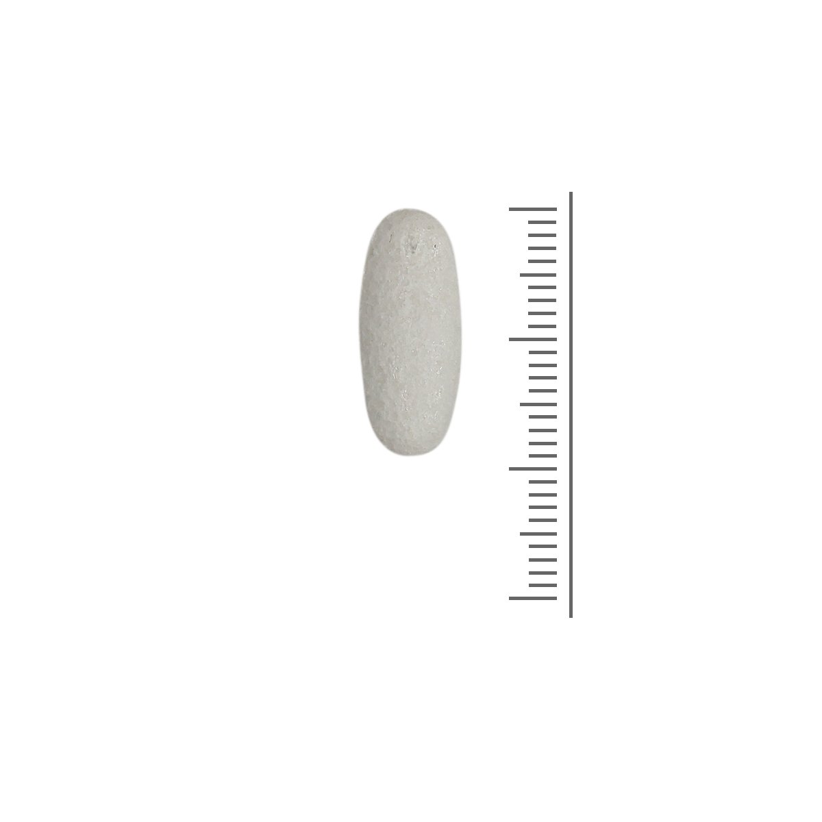 MSM 1000mg